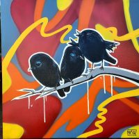 ‘black robin (karure)'